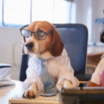 Can my pet run for public office if I give it a legal name and ID?